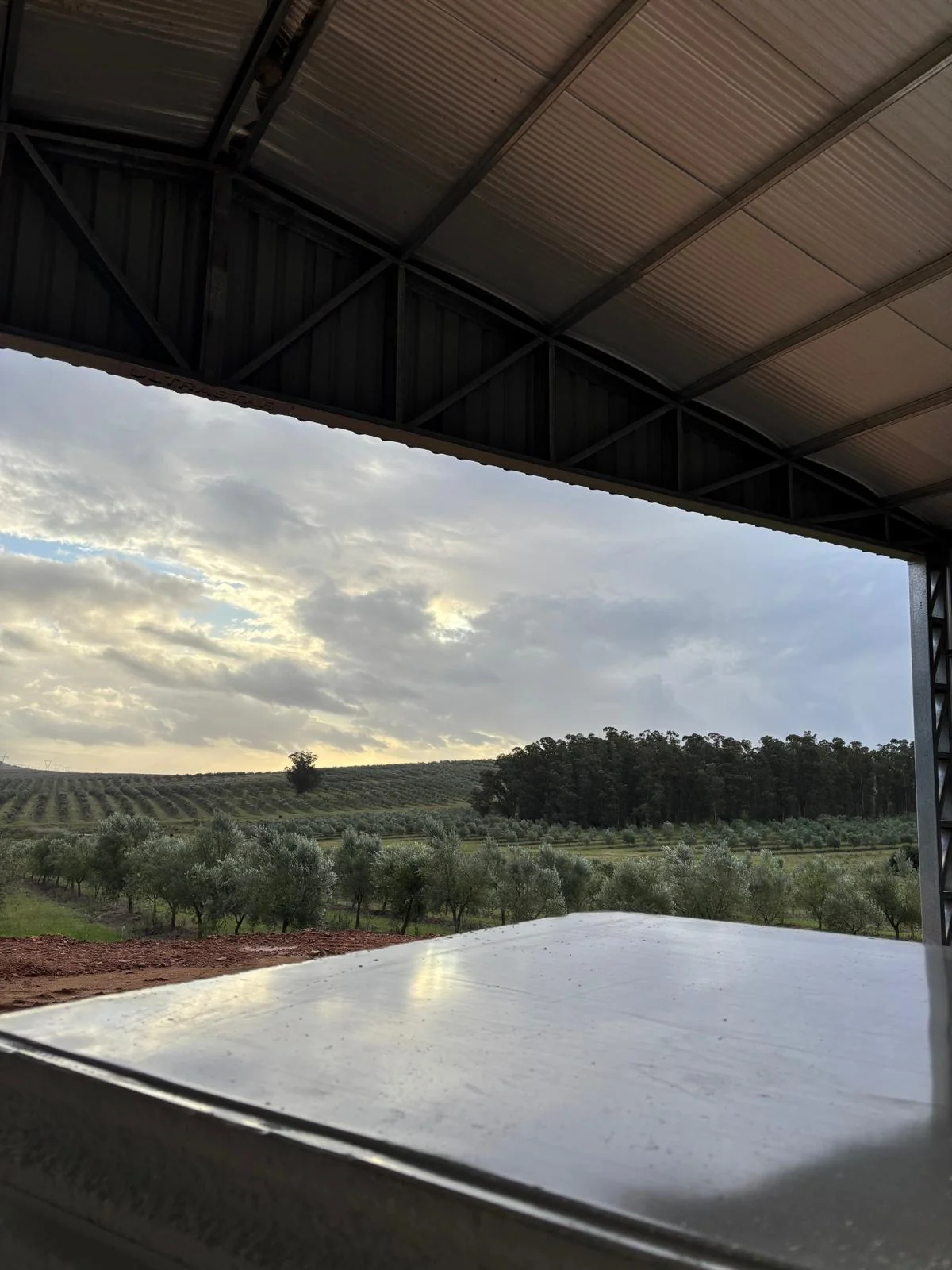 Los Olivares — foto 2